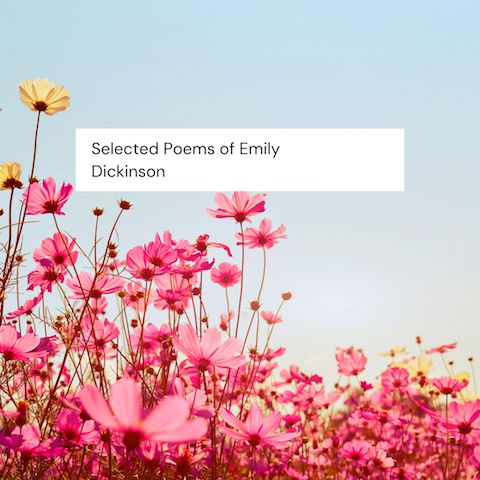 selected poems of emily dickinson