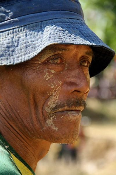Pacu Jawi, Tradisi Unik Balap Sapi Masyarakat Adat Minangkabau | Jurnal | pacu jawi | RenovRainbow