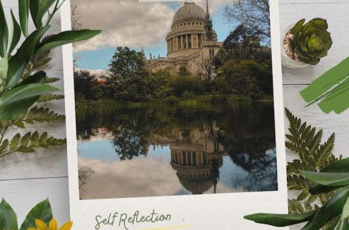 Self-reflection